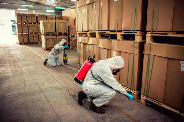 Best Best Pest Control Companies  in Westport, IN