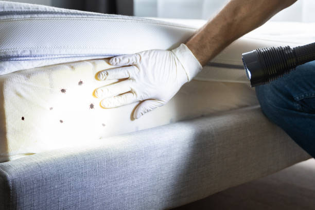 Best Pest Control Near Me  in Westport, IN