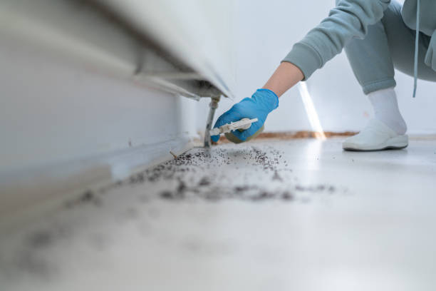 Best Cockroach Control Services  in Westport, IN
